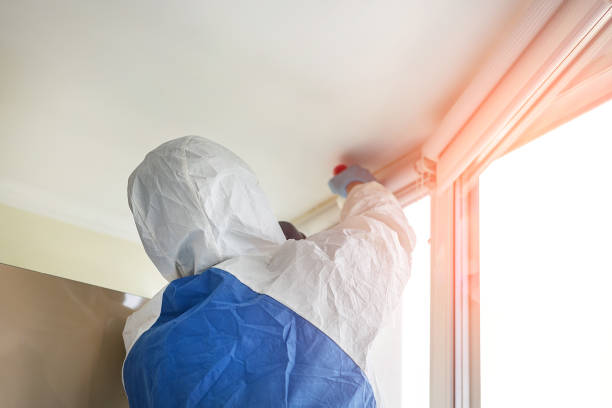 Trusted Ridgemark, CA Mold Removal & Remediation Experts